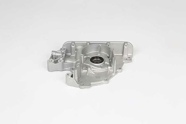 BSG 90-101-012 | Yağ Pompası 625 102