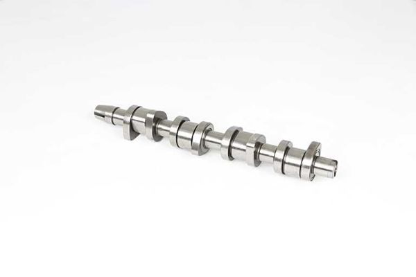 BSG 90-108-013 | Eksantrik Mili  Caddy-Passat Bls-Bmm-Bmp 1.9  TDI-2.0  TDI 04-