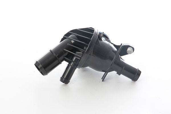 BSG 90-126-029 | Termostat 1.774.03