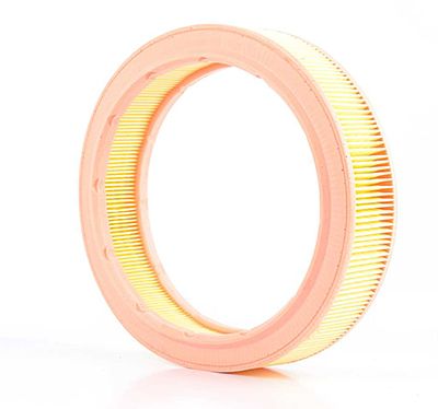 BSG 90-135-003 | Hava Filtresi E89l01-Lx 568 (Yuvarlak)