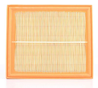 BSG 90-135-006 | Hava Filtresi E175l / Lx 405