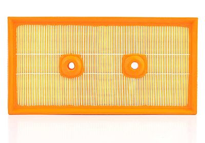 BSG 90-135-013 | Hava Filtresi E601l-Lx 1643 (Delikli)