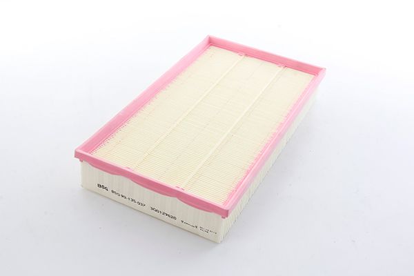 BSG 90-135-037 | Hava Filtresi E1306l