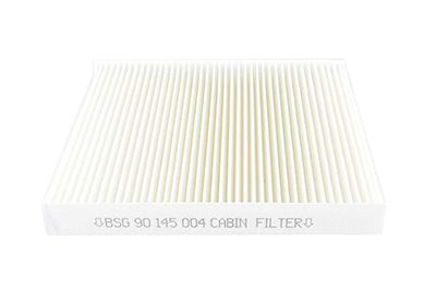 BSG 90-145-004 | Polen Filtresi E961lı (Karbonsuz)