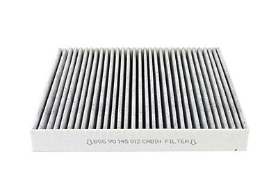 BSG 90-145-012 | Polen Filtresi E961lc / Lak 120 (Karbonlu)