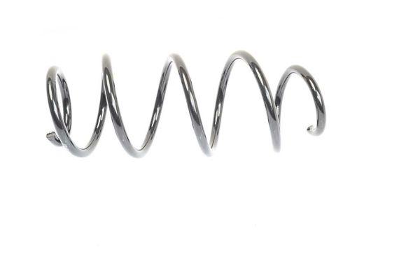 BSG 90-305-003 | Helezon Yayı Ön 993063 / 4095075 Caddy-Tiguan Bm 04-