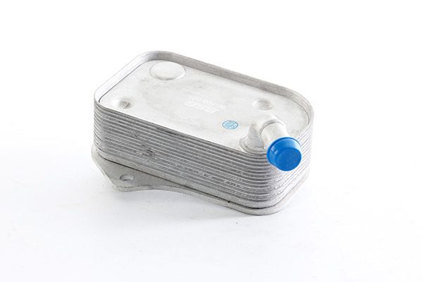 BSG 90-506-021 | Yağ Soğutucusu 8Mo 376 701-484