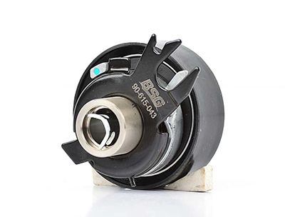 BSG 90-615-043 | Eksantrik Gergi Rulmanı 531 0252 30 Polo-Cordoba-Fabia AEE-Alm 1.6 94-99