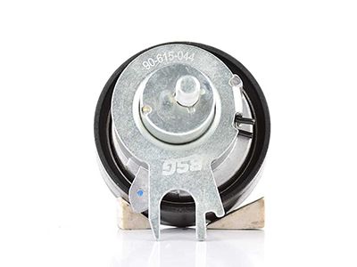 BSG 90-615-044 | Eksantrik Gergi Rulmanı 531 0317 10