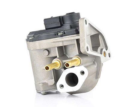 BSG 90-836-009 | EGR Valfi 408-265-001-005Z Golf5-Jetta-Passat-A3-Leon Bag-Blf-Blp 1.6  FSI 04-10