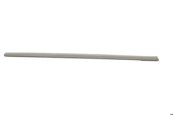 BSG 90-924-043 | Kapı Bandı Arka Sol