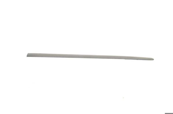 BSG 90-924-046 | Kapı Bandı Ön Sol Krom Passat Bm 05-10