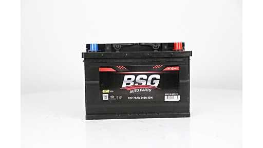 BSG 99-997-010 | Akü (12V 75Ah L3 Düz Smf Exmet Ind Sulu) 190X175x277