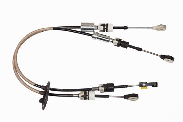 CAVO 4614636 | Vites Teli Ford Transit Tourneo Custom 6 Vites 15 -