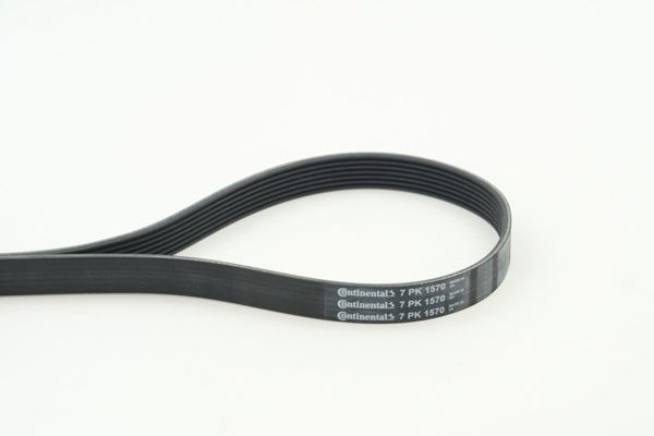 CONTINENTAL CTAM 7PK1570 | Kanallı Kayış Renault Clio IV 12 > Captur I 12 > Scenic IV 16 > Megane IV 16 > Talisman 15 > 0.9 TCE 1.2 T