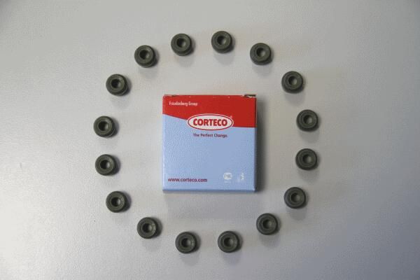 CORTECO 19036874 | Keçe Subap Kia