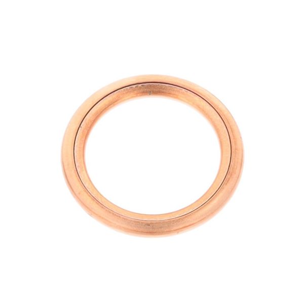 CORTECO 82902129 | Karter Tapa Pulu 813.036 | 1 Adet