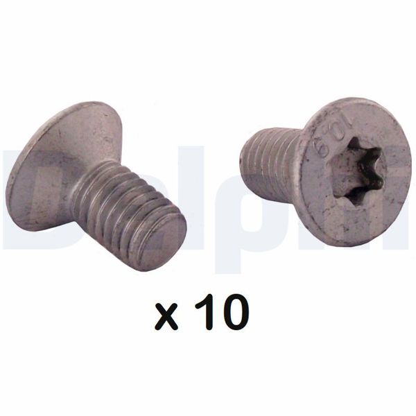 DELPHI BGK012 | Disk Civatası | 1 Adet