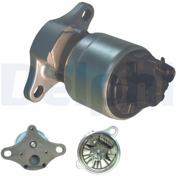 DELPHI EG10255-12B1 | EGR Valfi
