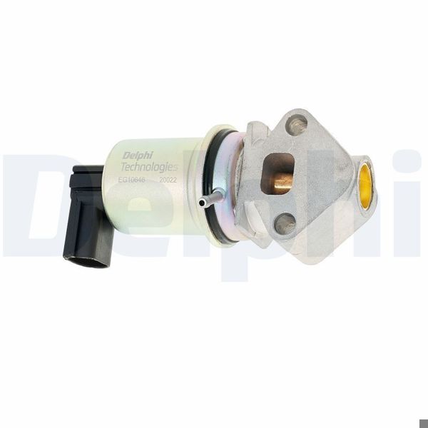 DELPHI EG10646-12B1 | EGR Valfi