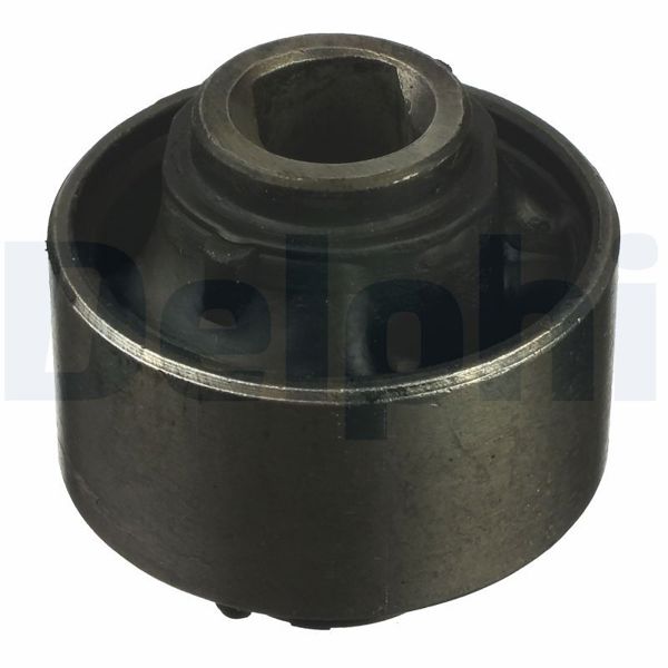 DELPHI TD1065W | Salıncak Burcu