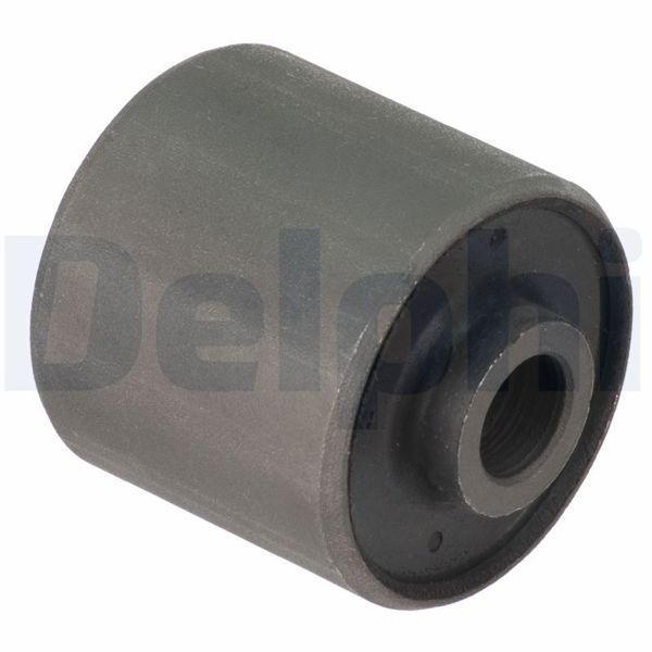 DELPHI TD1503W | Salıncak Burcu