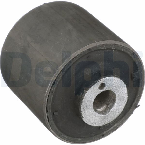 DELPHI TD4223W | Salıncak Burcu On 07-14 S-Seri (W221-C216)