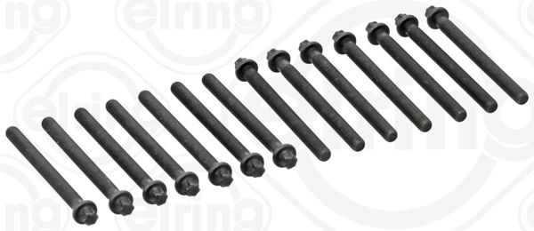 ELRING 802.820 | Silindir Kapak Saplaması Set (BMW M52-54 / E46-39-38-60-X5)