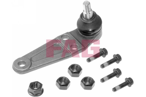 FAG 825021610 | Alt Rotil 240 / 260 Sağ