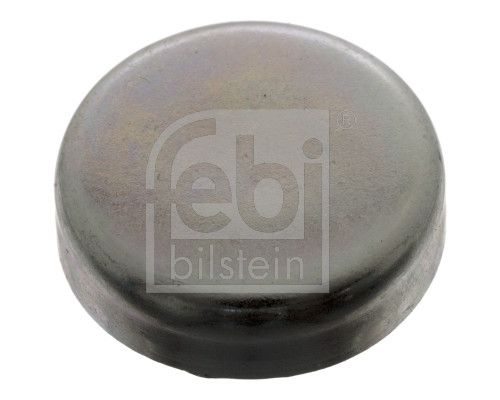 FEBI BILSTEIN 02544 | / M.Benz Blok Su Tapası 25mm N000443025003 | 1 Adet