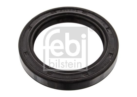 FEBI BILSTEIN 06174 | Aks Keçesi Arka