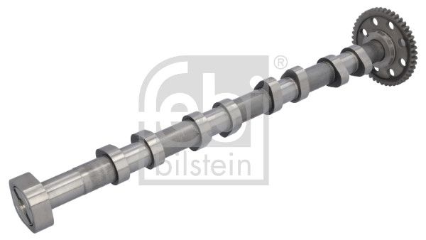 FEBI BILSTEIN 183365 | Egsoz Eksantrik Mili VW