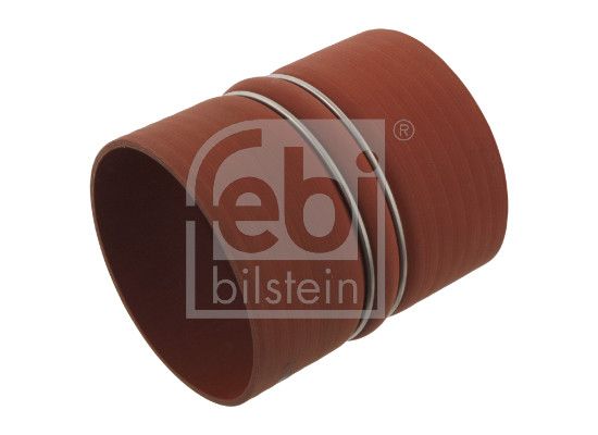 FEBI BILSTEIN 29152 | Intercol Hava Hortumu