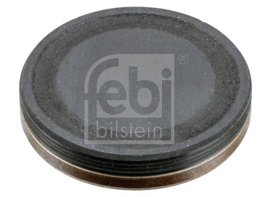 FEBI BILSTEIN 38867 | Eksantrik Zincir Gergi Tapası M642 | 1 Adet