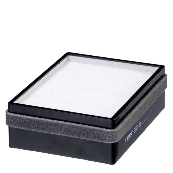 HENGST E956LI01 | Polen Filtresi