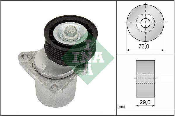 INA 534012820 | Alternatör Kayış Gergisi (Ford: Transit V.184 2.0 125Ps 01-Mondeo Onden Ceker 125Ps 01-)