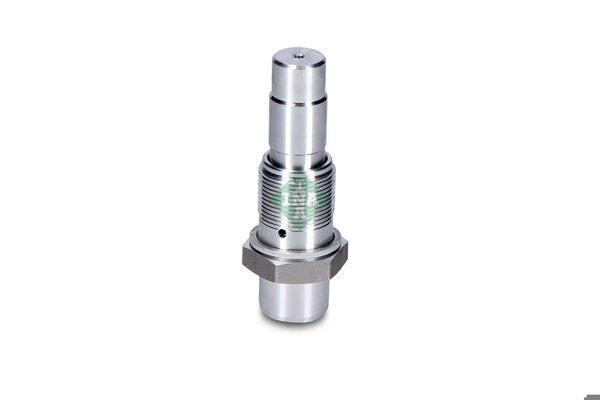 INA 551023610 | Zincir Gergisi (BMW)