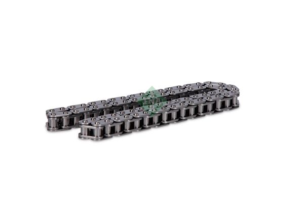 INA 553022210 | Eksantrik Zinciri (BMW: F10 550 650 750)