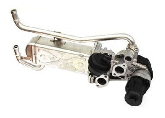 MAGNETI MARELLI 359000603790 | EGR Valfi + Soğutucu 10 > Polo-Fabia-Ibiza 1.2Tdi *U.K**