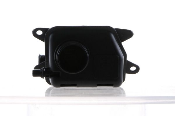 MAHLE CRT171000S | / Crt 171 000S / BMW F10-F12-F01-E70 N63 Yedek Su Deposu 17137647281