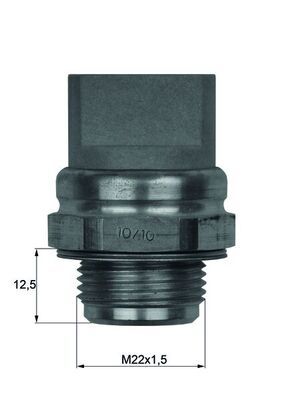 MAHLE TSW33 | Termostat