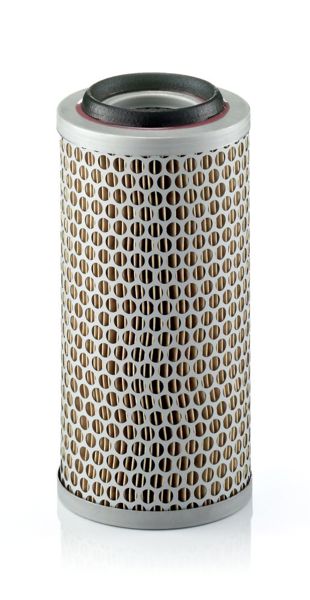 MANN C1176-3 | Hava Filtresi Ford