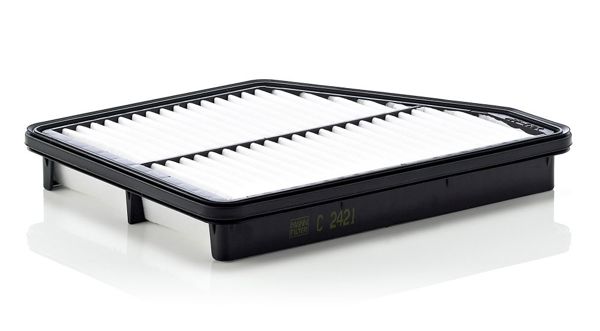 MANN C2421 | Filtre Hava-(Hyundai: Matrix 06 > 10)