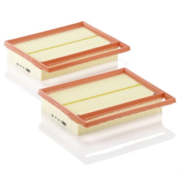 MANN C25110-2 | Hava Filtresi W463