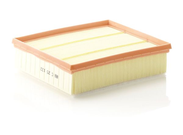 MANN C25122 | Hava Filtresi (Land Rover