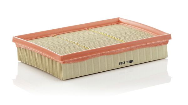 MANN C2589 | Hava Filtresi N46-E83