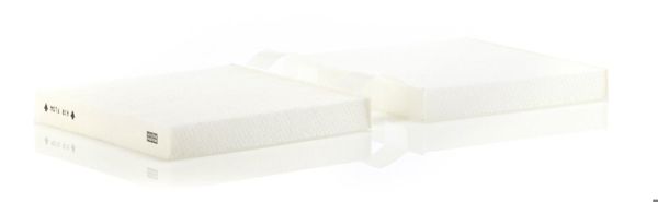 MANN CU19004 | Polen Filtresi BMW X3 F25 X4 F26 Karbonlu