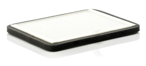 MANN CUK2424 | Kabin Filtresi Karbonlu (Renault: Megane I 96-03)