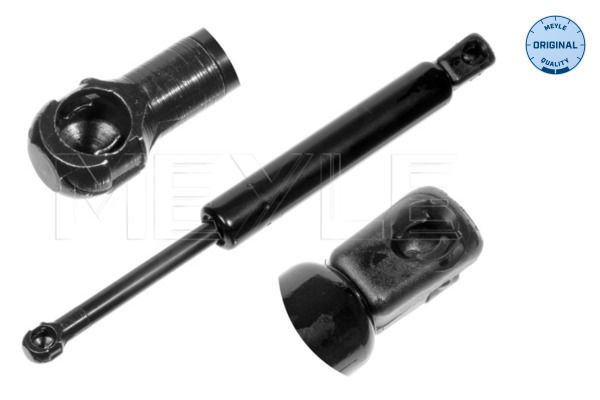 MEYLE 2401610043 | Kaput Amortisörü 163