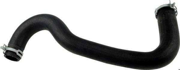 RAPRO 16348 | Radyatör Alt Hortumu Ford Fiesta VI 1.25-1.4-1.6